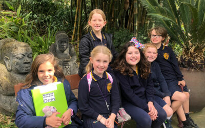 Connecting our learning to community