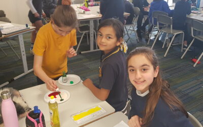 The learning has been diverse in Year 5/6!