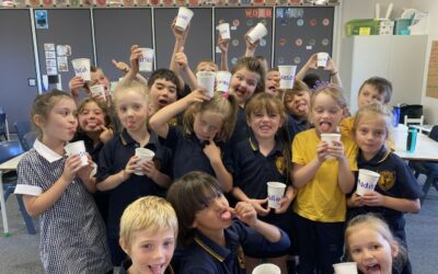 Team Nicole — what’s been happening in room 17-1