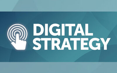 Statewide Digital Strategy Survey