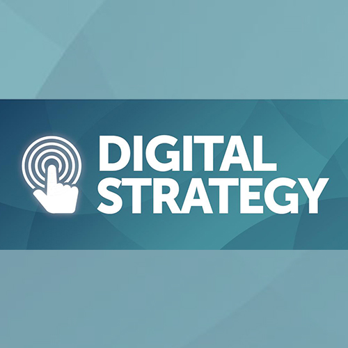 Statewide Digital Strategy Survey