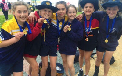 Beach Volleyball Success