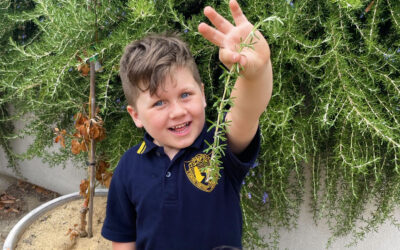 Student Wellbeing at Port Noarlunga Primary