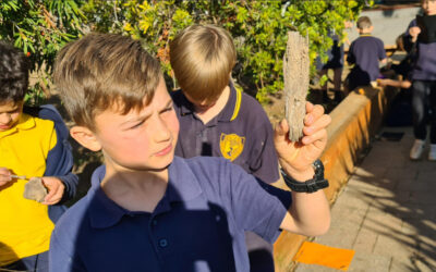 Principal’s Update – Week 10, Term 2, 2022