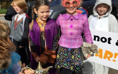 Principal’s Update – Week 6, Term 3, 2022