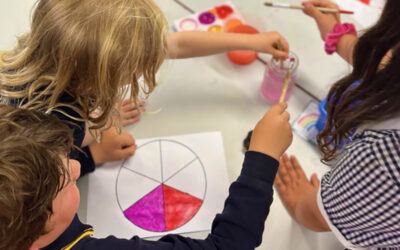 Principal’s Update – Week 2, Term 4, 2022