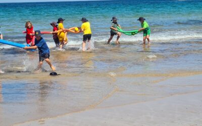 Principal’s Update – Week 8, Term 4, 2022