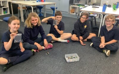 Everything fun in 16-1